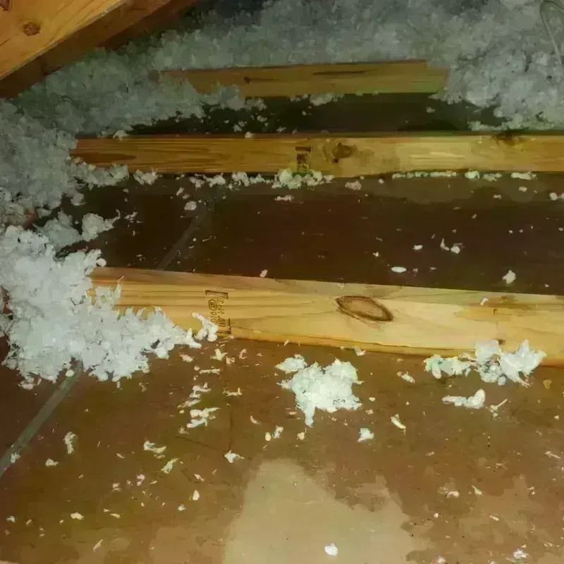 Attic Water Damage in Lowell, OR