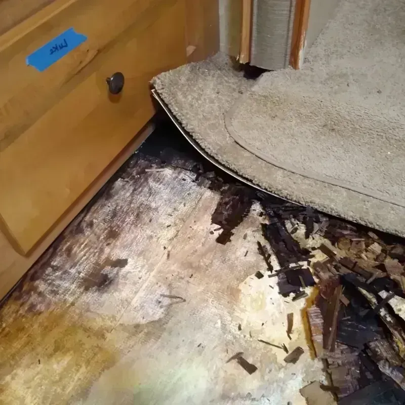 Wood Floor Water Damage in Lowell, OR